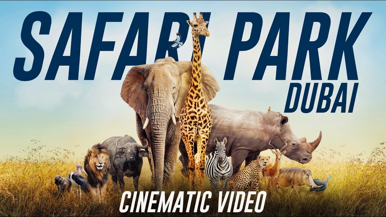 Discover the captivating highlights of Dubai Safari Park.