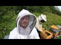 Tout connaitre sur les abeilles, le miel et l'apiculture ! (Reportage co...