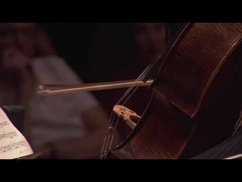 Glass: Double Concerto for violin and cello