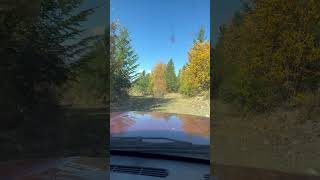 backwoods B.C. canada 👍👍😎  special BUSH party spot 😇