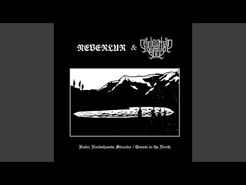 Det snøa og det snøa...