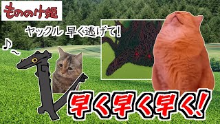 【ネタ動画】猫もののけ姫【猫ミーム】