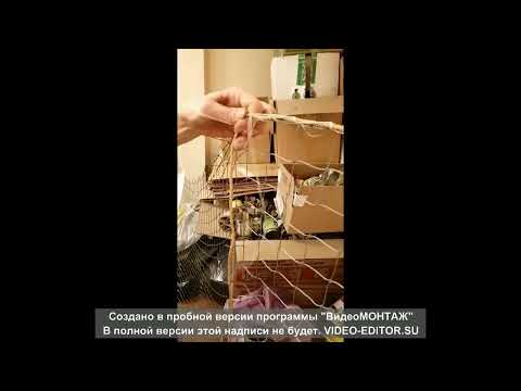 оформление сети шнуром