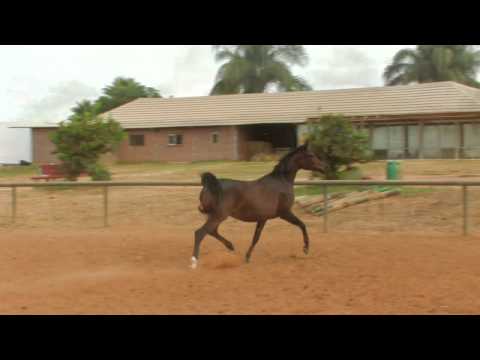 K,Z, Marwa & K.Z. Giselle
