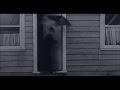 The North Sea Decay Official Video