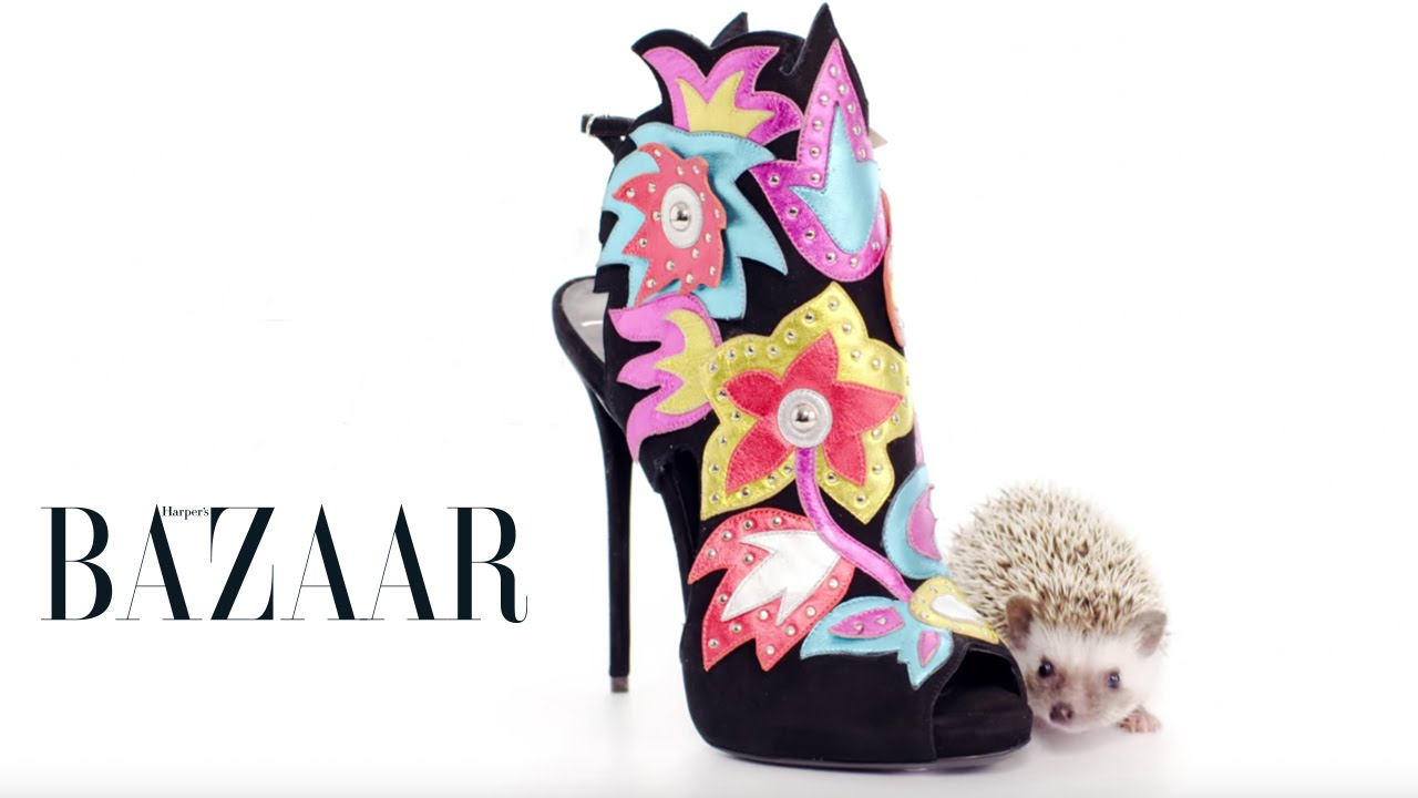 Hedgehogs and 10 Haute Heels thumnail