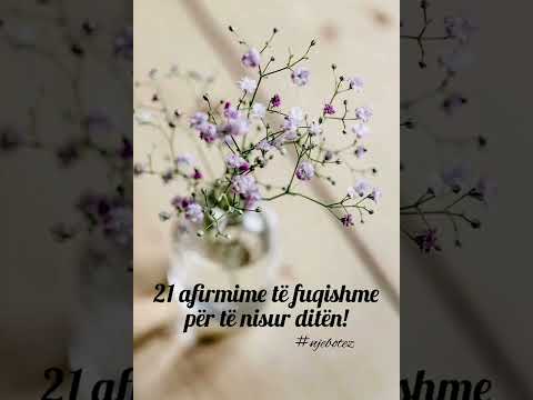 AFIRMIME TE FUQISHME PER TE NISUR DITEN