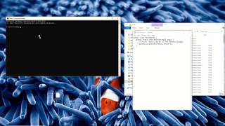 Compile and Run Java Program Using Command Prompt (Terminal) on Windows 10