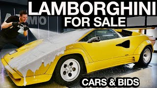 Lamborghini Countach Detail and Sell First Wash in Years!