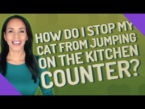How do I stop my cat from jumping on the kitchen counter?