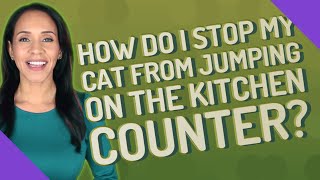 How do I stop my cat from jumping on the kitchen counter?