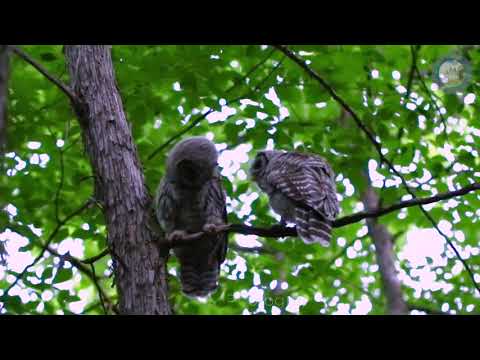 2021.6 When getting dark, 每当夜幕降临