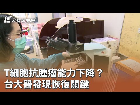 youtube影片