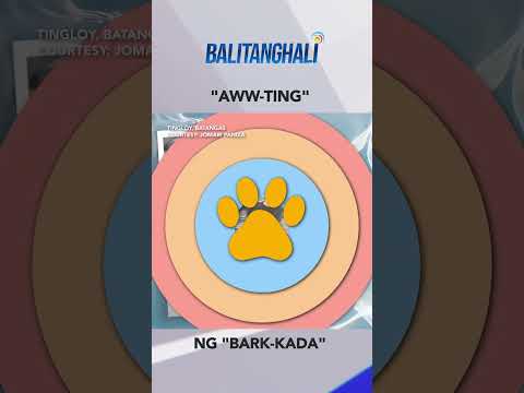 Time-out muna ang "bark-kada." #shorts Balitanghali