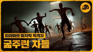 퀘이사존