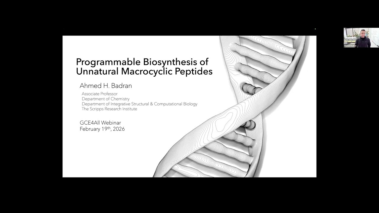 Engineering Life's Language: Streamlined Approaches for Efficient Genetic Code Expansion