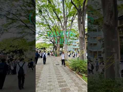 ＼武蔵大学の1年／1年分のストーリーズ、一気見！