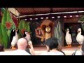 Madagascar Live Prepare To Party At Chessington World Of Adventures