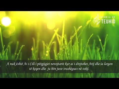 Recitim i mrekullueshëm - (Surah An Naml, 59-66)