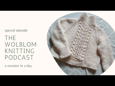 I knitted a sweater in one day | The Wolblom Knitting Podcast  *special episode*