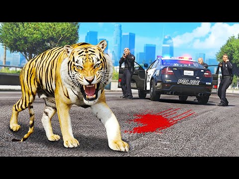 A HUNGRY TIGER ESCAPED from the ZOO in GTA 5!