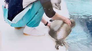 [問卦] 有沒有富邦悍將職棒正妹加油團的八卦?