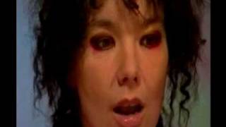 Björk - 2002 Interview (Vespertine era)