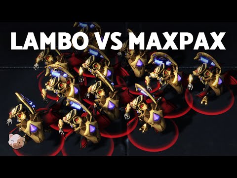 MAXPAX's mass adept surprise vs LAMBO | EPT EU #100 Semi Finals (Bo5 PvZ) - StarCraft 2