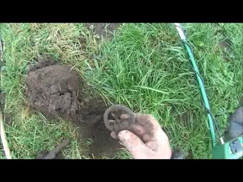 Sondeln : Unterhalb der Villa aus 1933 und übliche Wiesen Funde ....Film 16