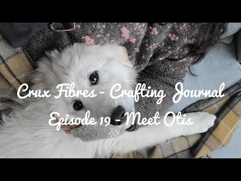 Crux Fibres - Crafting journal - Episode 19 - Meet Otis.