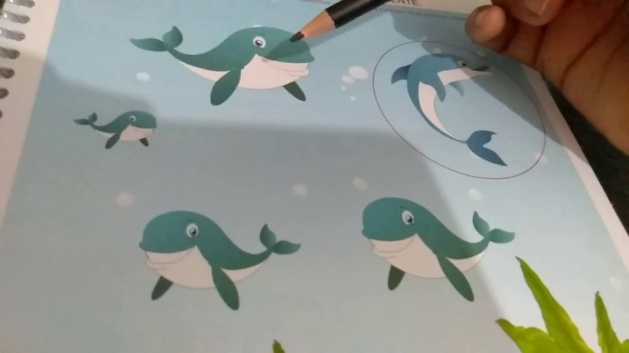 Atividades com animais do fundo do mar 3