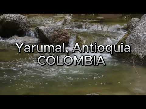 Quebrada en Yarumal | Vereda Divino Niño | Turismo Rural en Colombia