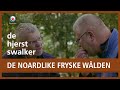 HJERSTSWALKER -  De Noardlike Fryske Wâlden