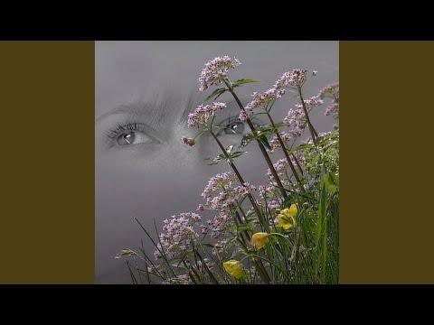 Video thumbnail for all that i loved