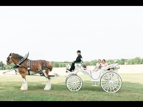 download lagu mp3 mp4 Outdoor Wedding Venues In Southern Maryland, download lagu Outdoor Wedding Venues In Southern Maryland gratis, unduh video klip Outdoor Wedding Venues In Southern Maryland