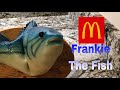 Frankie The Fish Singing McDonald S Fish