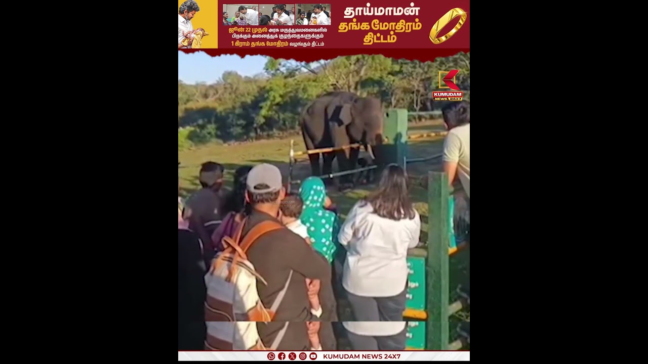 விடுமுறைன்னா இப்படித்தான் இருக்கணும்… யானைகளோட ஒரு நாள்..! | Ooty | Nilgiris | Mudumalai #shorts