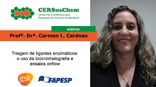 Triagem de ligantes enzimáticos: Biocromatografia e ensaios onflow | Profª. Drª. Carmen L. Cardoso