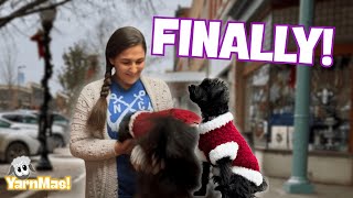 Meeting Him in Person for the First Time (A Christmas Surprise 🎄)