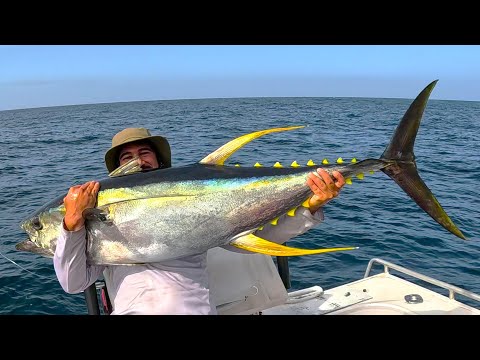 Giant Yellowfin Fishing Solo Offshore - NSW South Coast, Australia