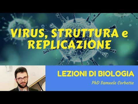 Quali vermi al pesce di un capelin Come liberarsi da vermi le condizioni di casa