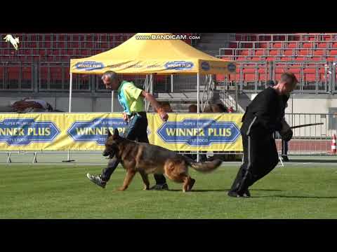 1108 Tao vom Leithawald - TSB BSZS-2023