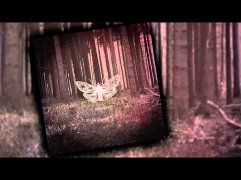 ORGΛSM - ΠΣURΦΠS