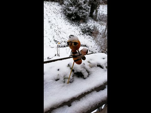 Meine Wachtberg-Berkum