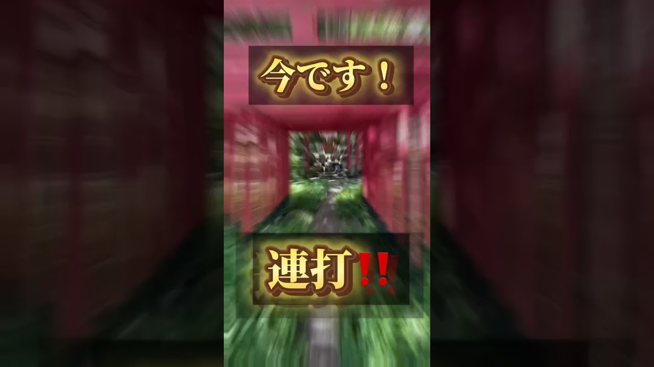 この動画に出会えたあなたは超幸運です🐍⛩️✨✨