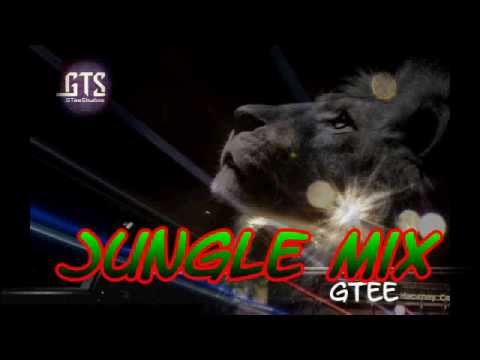 Nineties Old Skool Jungle Mix - 93, 94 & 95