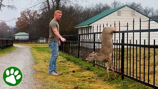 Tear-Jerking Animal Rescues from the 'We Love Animals' channel