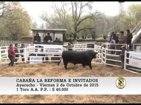 02-10-15 Ventas de Toros A.A. P.P. - Cabaña La Reforma e Invitados - Ayacucho.