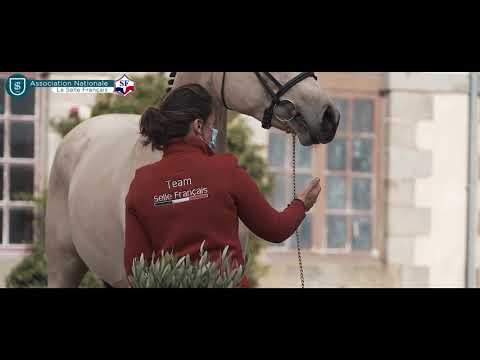 Le Stud-book Selle Français - SBSF