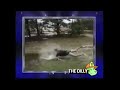 AFV Honourable Mentions Season 14 Episode 18 The Dilly Airing